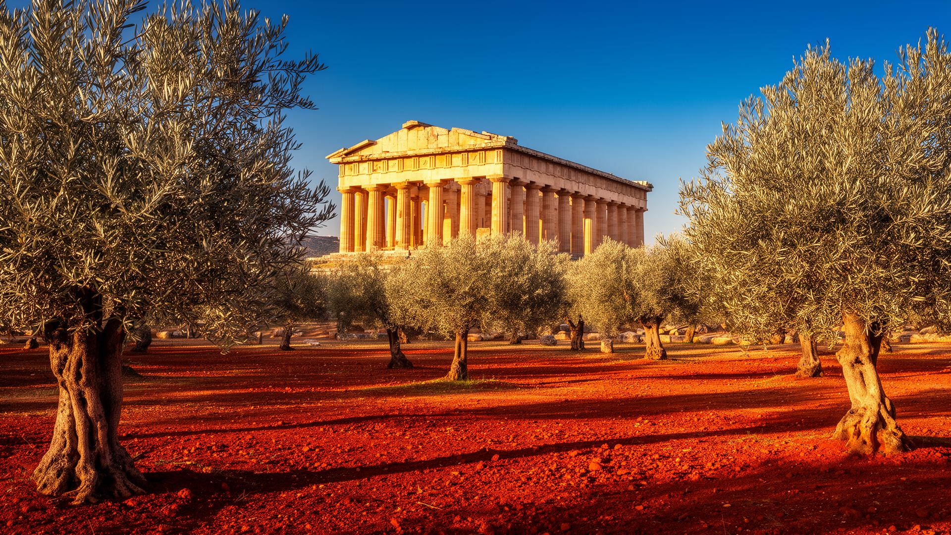 Paestum, Italy — temple ruins among olive trees